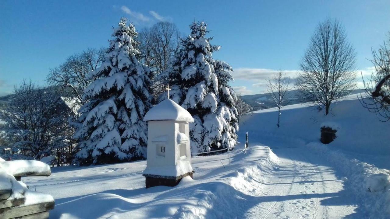 Stylová chalupa na kraji národního parku Šumava Strunkov Esterno foto