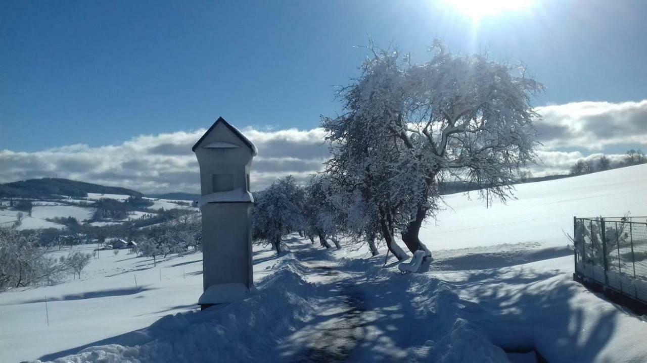 Stylová chalupa na kraji národního parku Šumava Strunkov Esterno foto